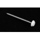 Pointes INOX 5 cm tête Blanche pour planches de rive à clouer