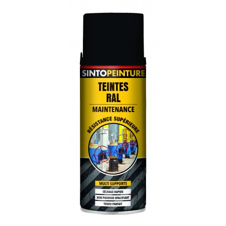 PEINTURE DE MAINTENANCE NOIR MAT RAL 9005