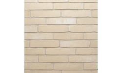 Brique ECO-BRICK Pleine WF Amfora