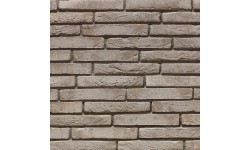 Brique ECO-BRICK Pleine Tolus