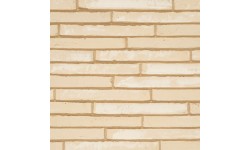 Brique ECO-BRICK Pleine Wasserstrich