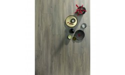 Elegant - 708 Ulysse